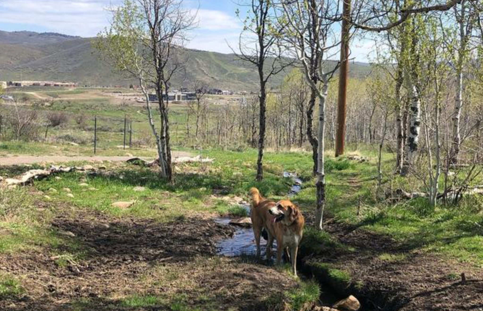 BEAR HOLLOW VILLAGE - Residential