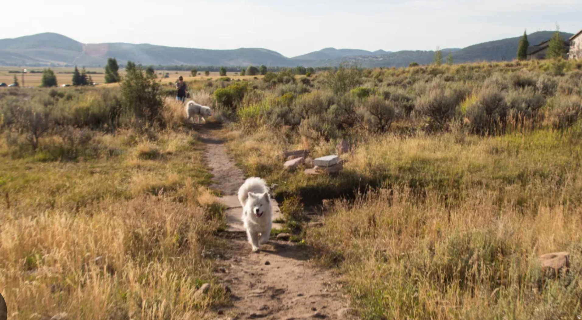 BEAR HOLLOW VILLAGE - Residential