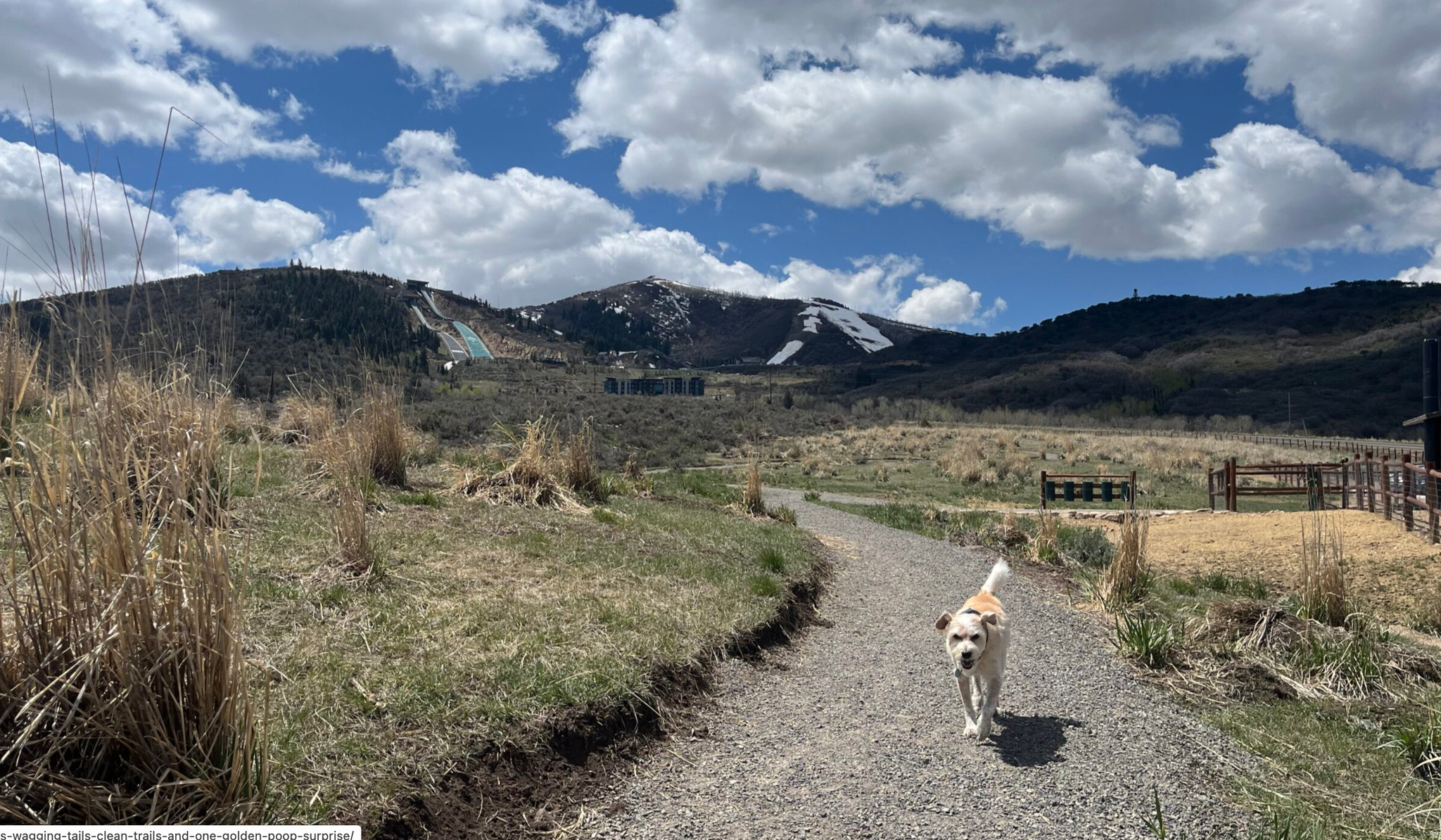 BEAR HOLLOW VILLAGE - Residential