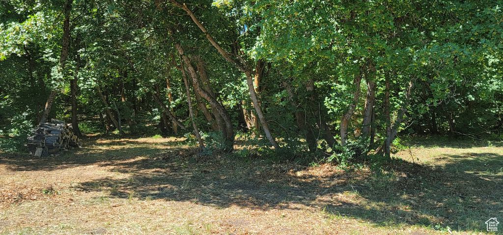 Photo of Fish Haven, ID 83287 (MLS # 2102468)