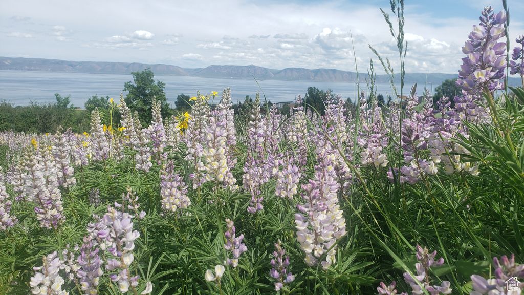 Photo of Fish Haven, ID 83287 (MLS # 2102468)