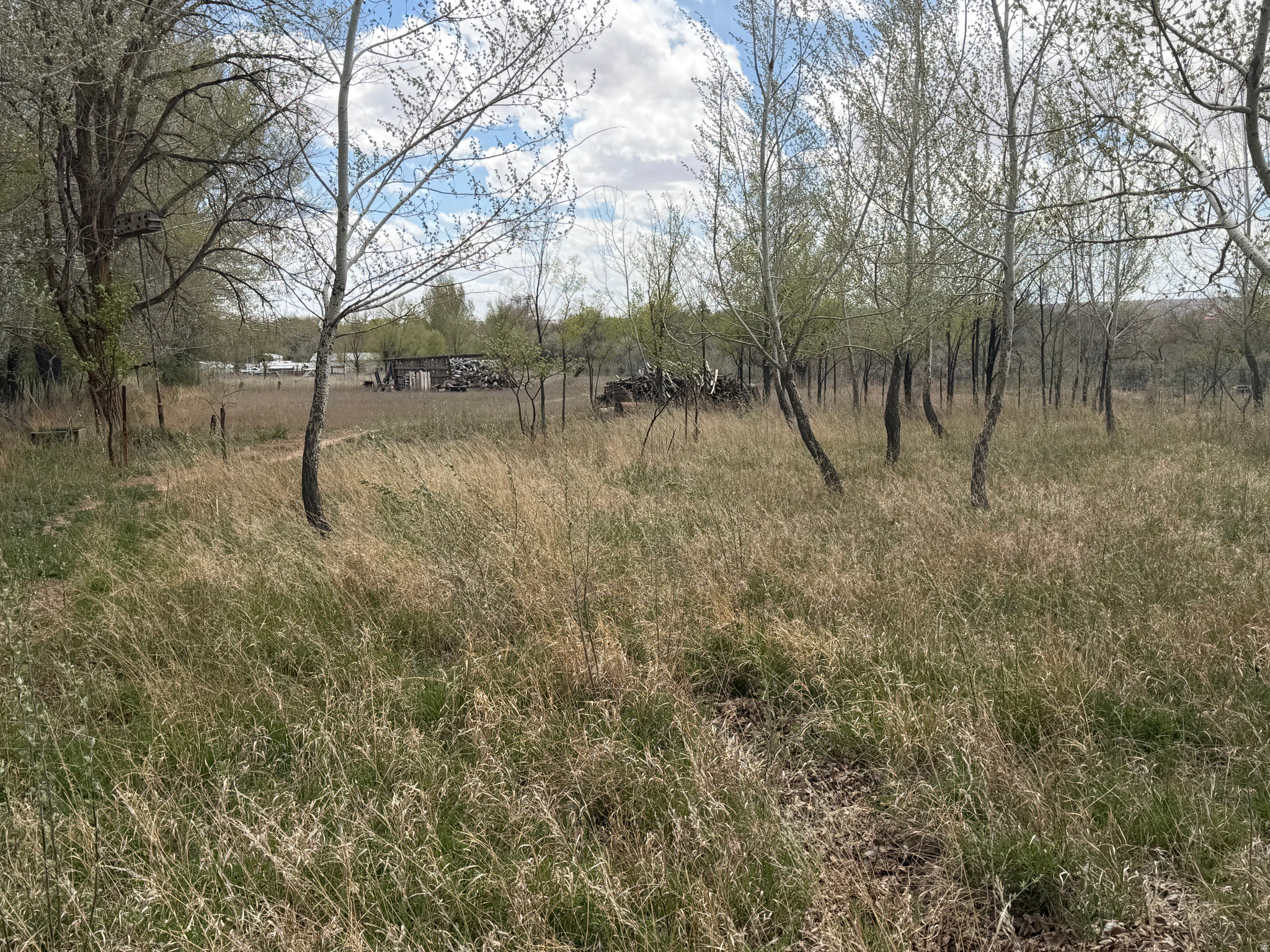 RANDLETT TOWNSITE - Residential