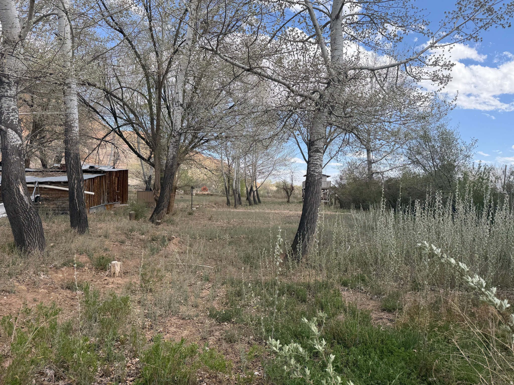 RANDLETT TOWNSITE - Residential