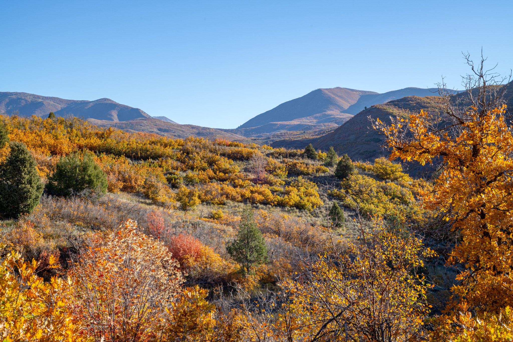 MOUNTAIN AIR ESTATES PLAT A - Land