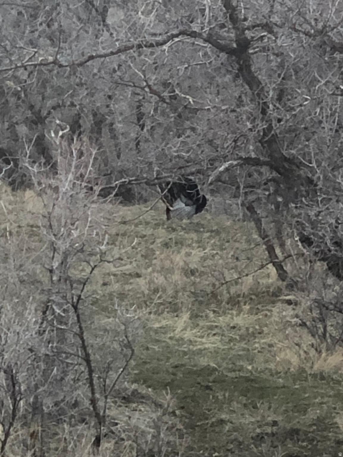 MOUNTAIN AIR ESTATES PLAT A - Land