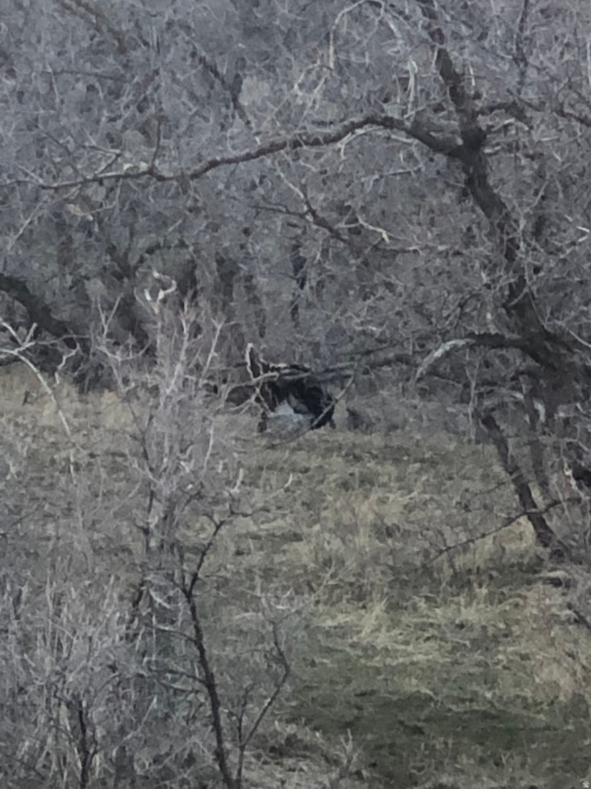 MOUNTAIN AIR ESTATES PLAT A - Land