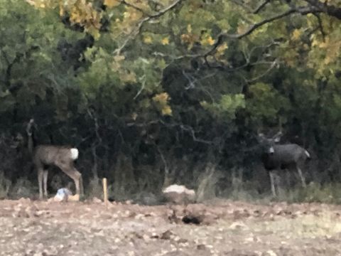 Tiny photo for 541 S LEFT FORK HOBB RD E #8, Springville, UT 84663 (MLS # 2137925)