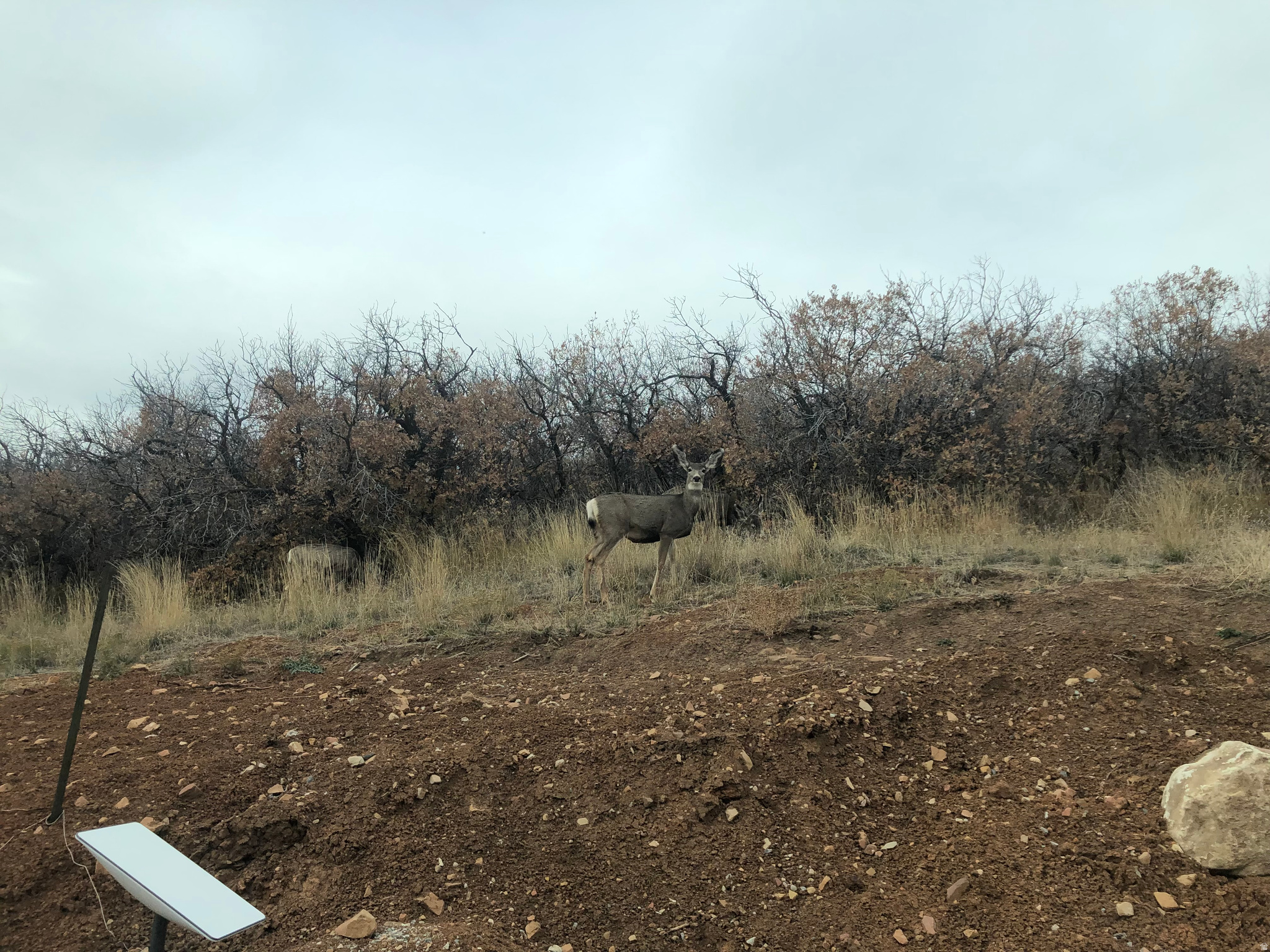 MOUNTAIN AIR ESTATES PLAT A - Land