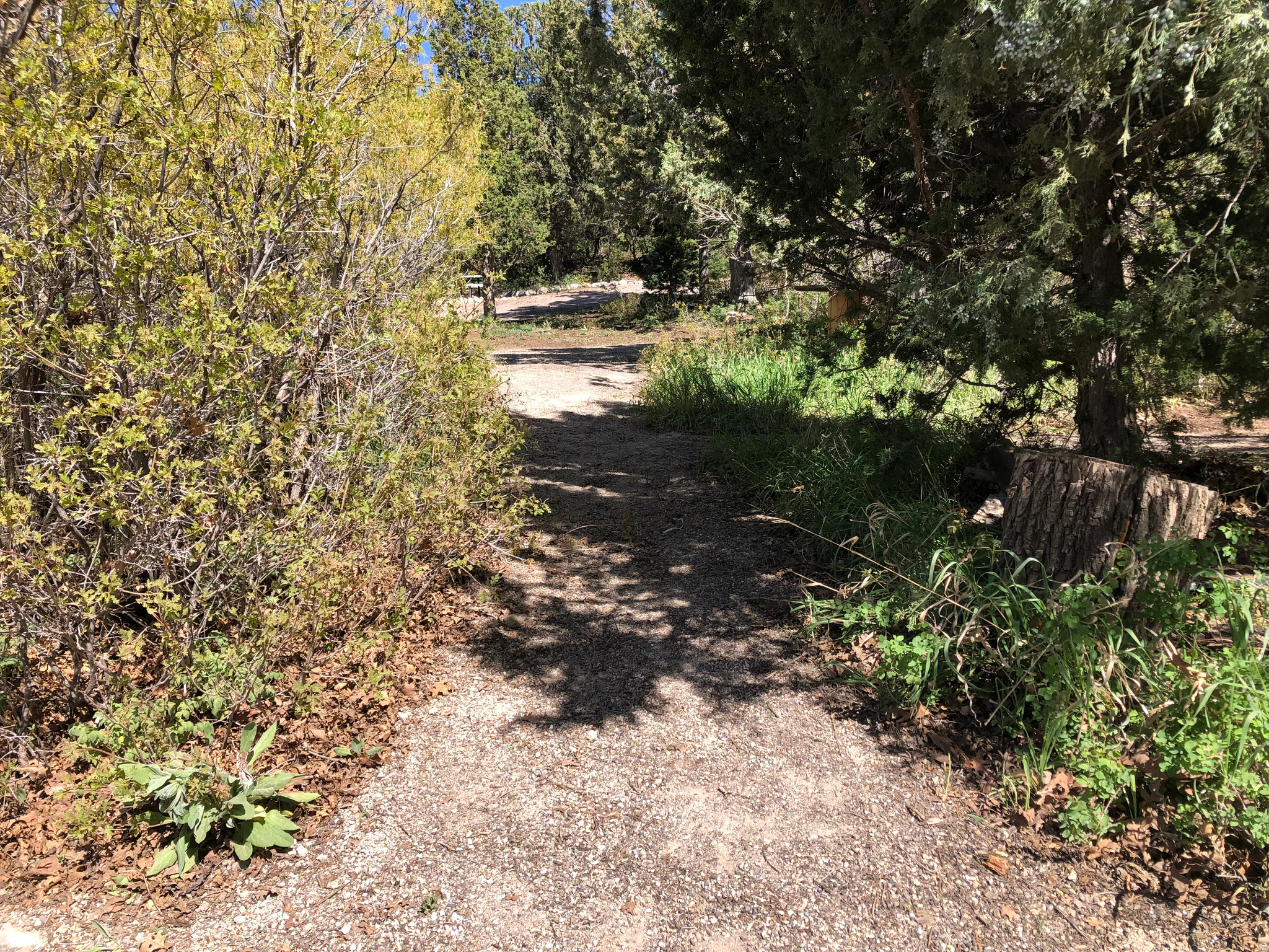 SPRING CITY RANCHERO - Land