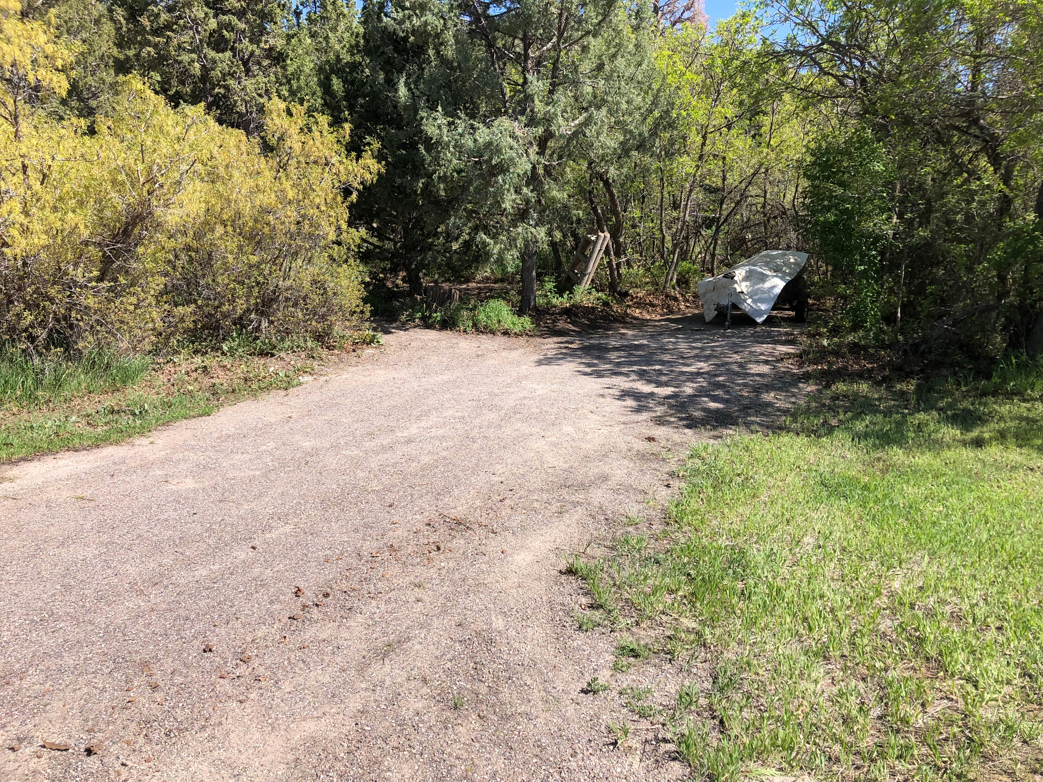 SPRING CITY RANCHERO - Land