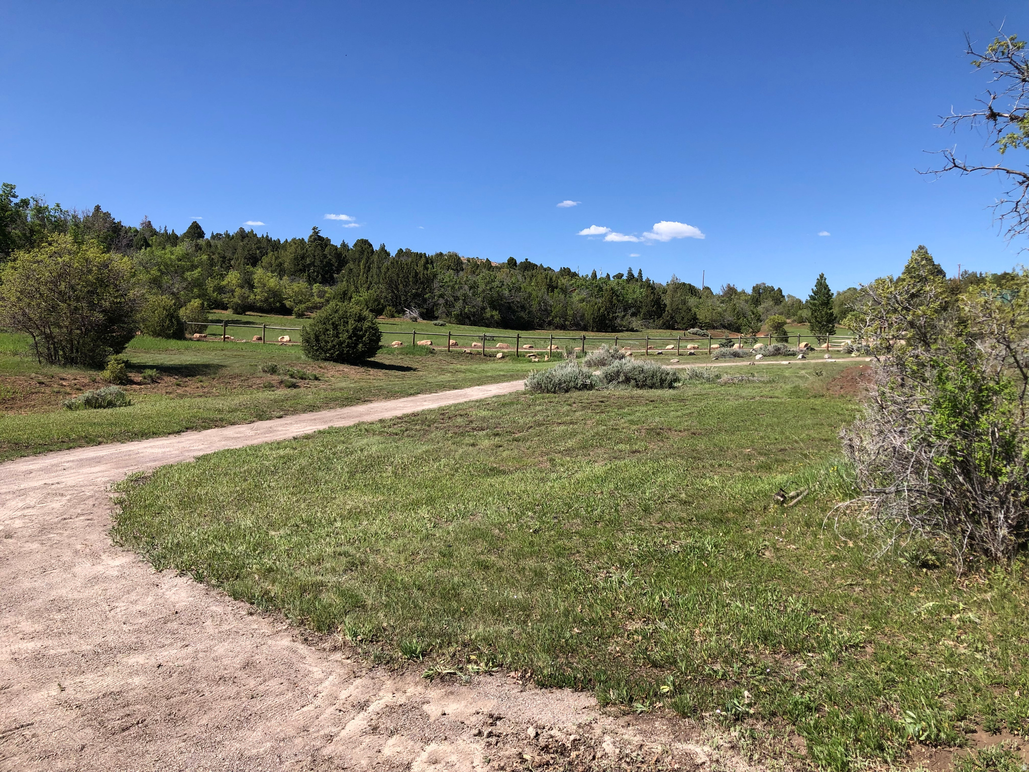 SPRING CITY RANCHERO - Land