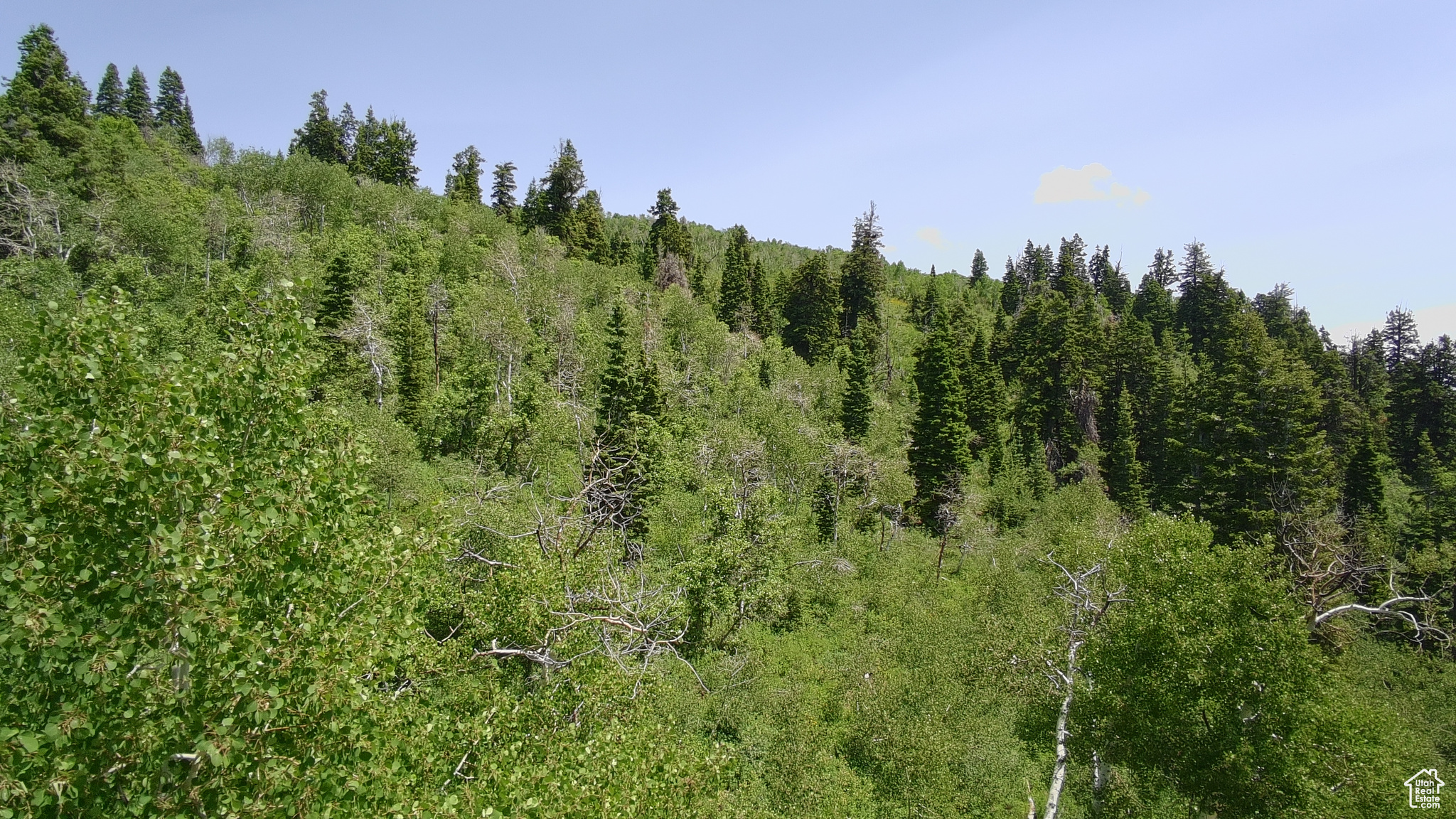 PINE MEADOW RANCH - Land