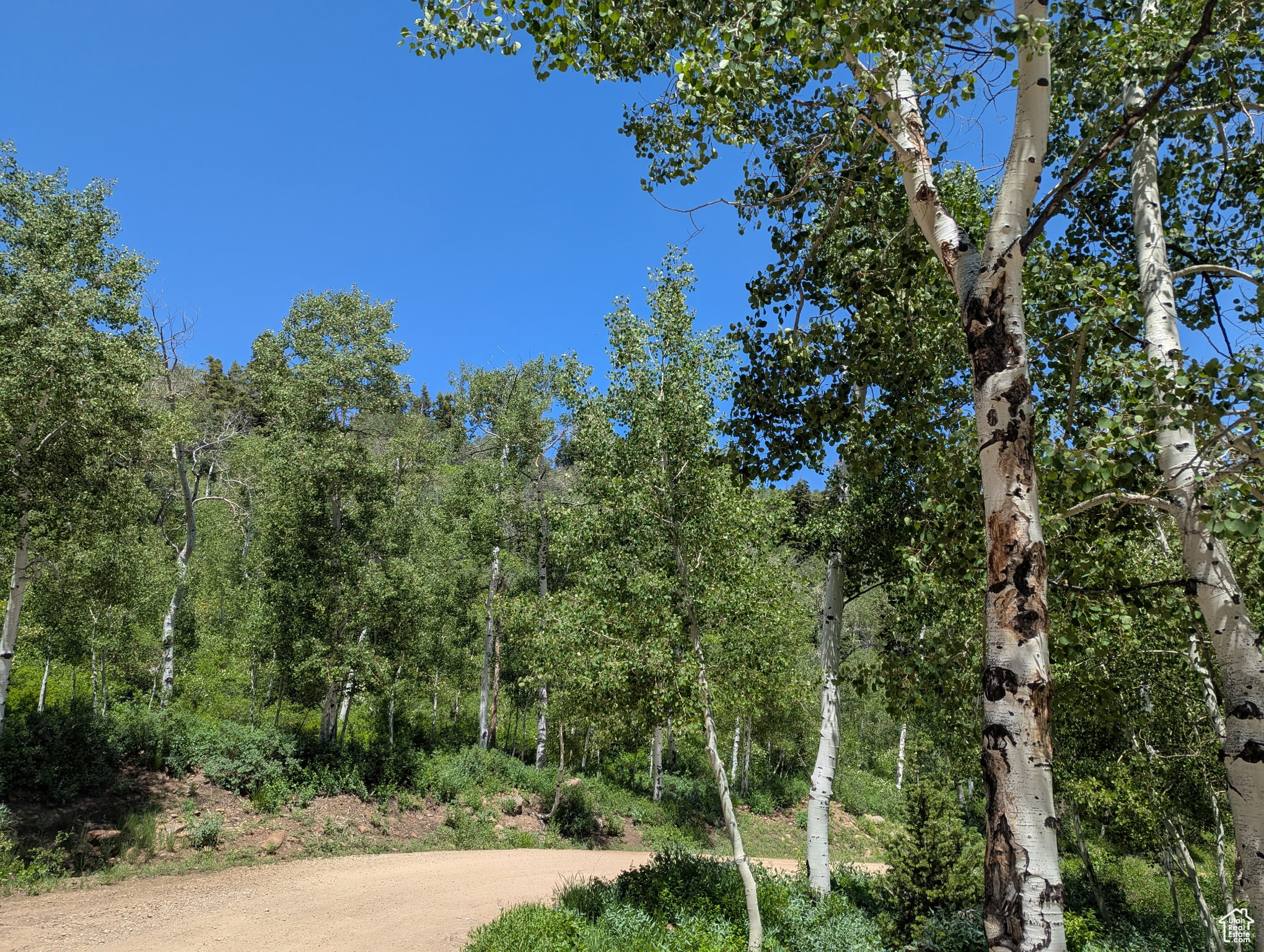 PINE MEADOW RANCH - Land