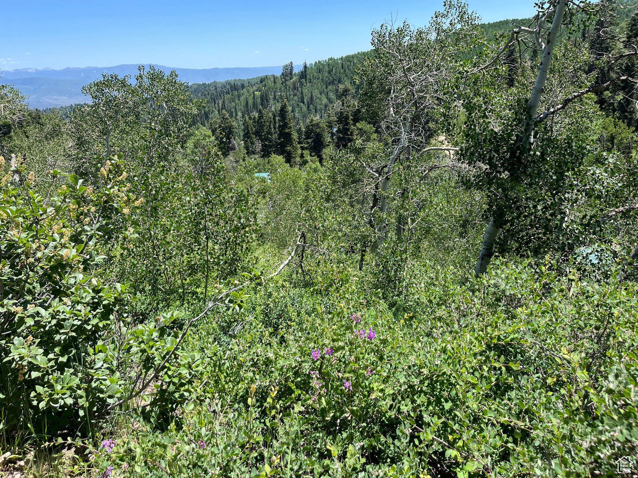 PINE MEADOW RANCH - Land
