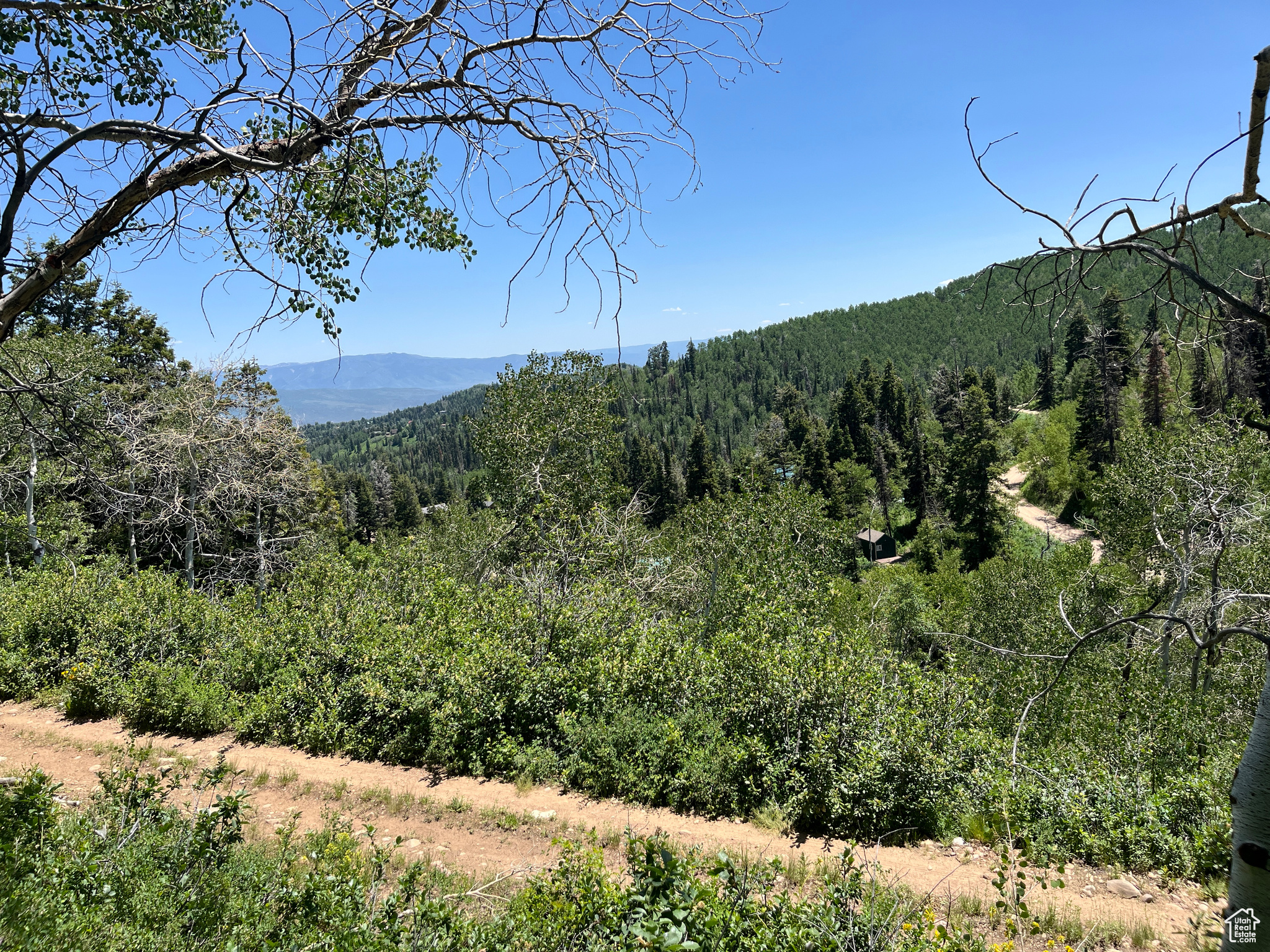 PINE MEADOW RANCH - Land
