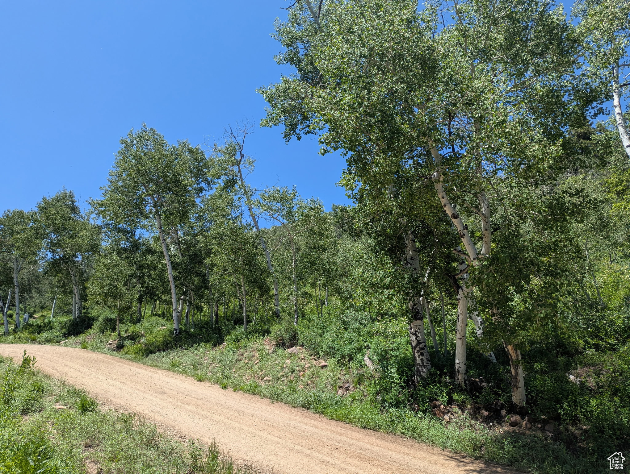PINE MEADOW RANCH - Land