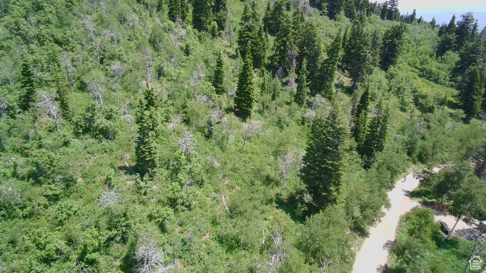 PINE MEADOW RANCH - Land