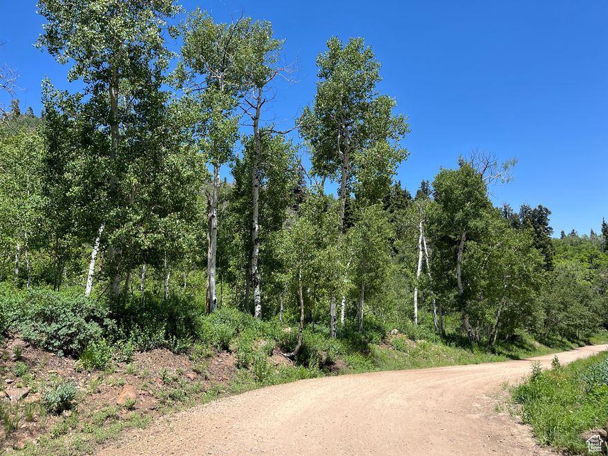 Imagine waking to the crisp mountain air, surrounded by towering pines and the gentle whispers of nature. This exquisite 1.24acre parcel offers an unparalleled opportunity to create your private mountain retreat. Nestled in a pristine wooded area, the property boasts unobstructed views of surrounding mountain ranges that will captivate you year-round.   Wildlife abounds here, with frequent sightings of majestic moose and graceful deer roaming freely, offering a true connection to the wild. The land provides excellent accessibility with frontage on two distinct roads, offering flexibility for building sites and future development. Whether you dream of a custom luxury home, a rustic cabin, or simply a secluded escape, this is more than land, it's a lifestyle. Don't miss your chance to own a piece of mountain heaven. All data is provided as a courtesy.  Buyer to independently verity all information.