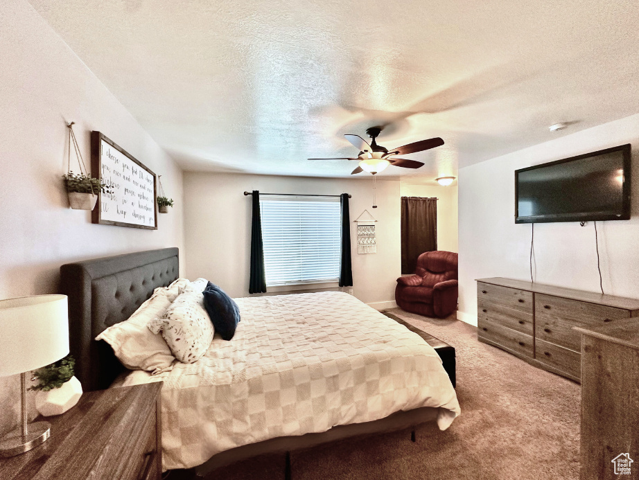 ASHBURY COURT - Residential