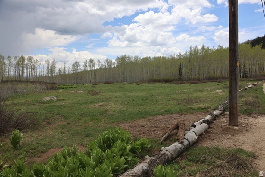 Enjoy the tranquil beauty of this partially wooded lot in Midway, Utah, Brighton Estates Subdivision 1, (with no HOA / no CCRs) offering one of the most spectacular and peaceful mountain settings available in the greater Park City area. Explore nearby trails, stunning views, and the lack of light pollution.  The lot is flat and is partly cleared.  Tucked in the hills of Midway, just below Guardsman Pass, minutes away from Wasatch Mountain State Park, WOW Trail, Bonanza Flat, Brighton Resort, Deer Valley, and Park City. Ideal as recreational use for the outdoor enthusiast with biking, hiking, snowmobiling, backcountry skiing, and more just out your front door.  Although seasonal, as roads are not plowed, it can be accessed year round by snowmobiles.  Property is SEASONAL as driving access through Guardsman Pass, (from Big Cottonwood Canyon) & Pine Canyon Rd, (from Park City and Midway) is closed fall to spring.  Property has no water nor septic.  No perc test has been done.  MUST HAVE WATER TO BUILD.  Adjacent lot 41 is also for sale.  See attached plat map.  The road is Larkspur but the map incorrectly reflects Lakespur.  All information herein is deemed reliable but not guaranteed. Buyer is responsible for verifying all listing information.