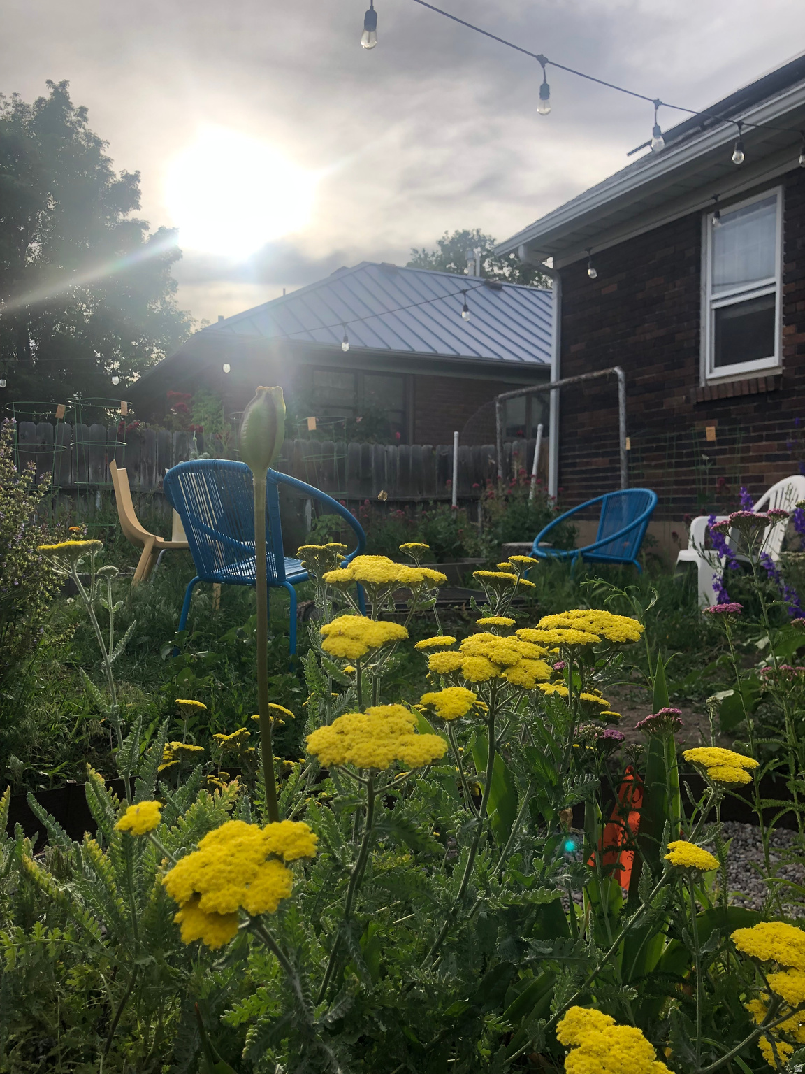 PLAT A BIG FIELD SUR - Residential