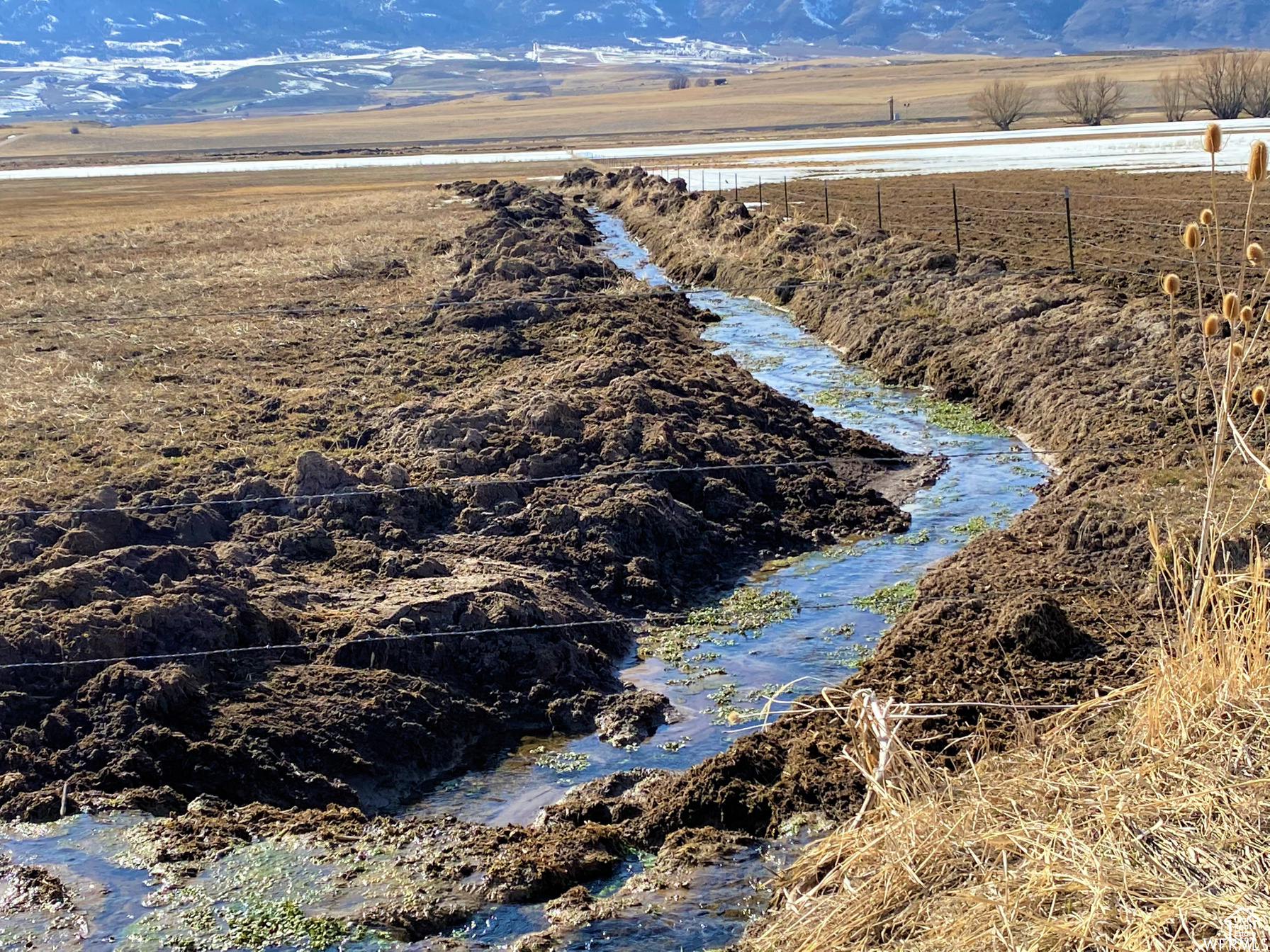 Land, Swanlake, Idaho image 22