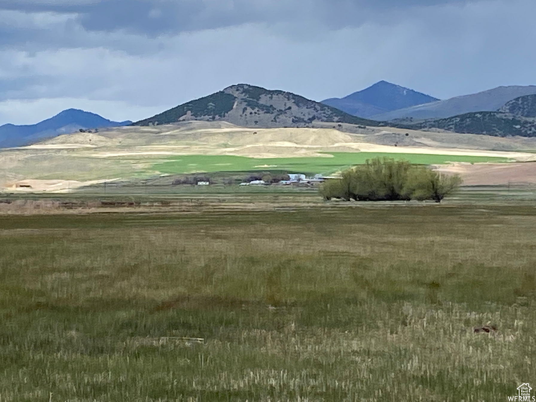 Land, Swanlake, Idaho image 11