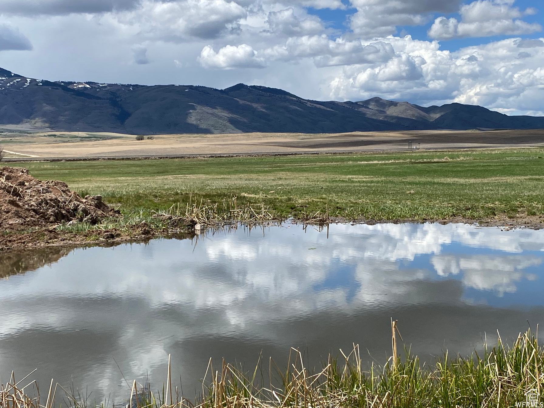 Land, Swanlake, Idaho image 21