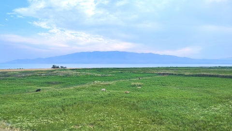 Tiny photo for 945 S 950 W, American Fork, UT 84003 (MLS # 2171721)