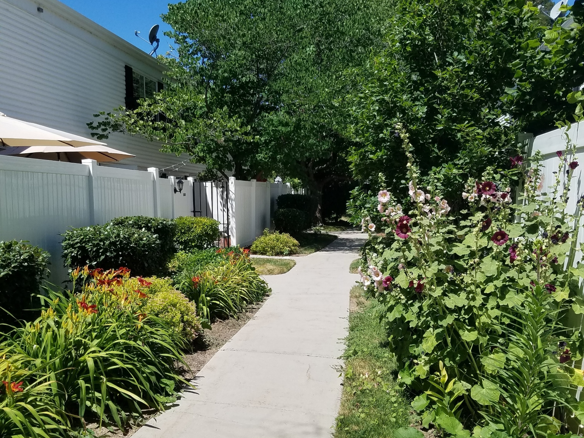 WAYLAND STATION AT OLD FARM - Residential