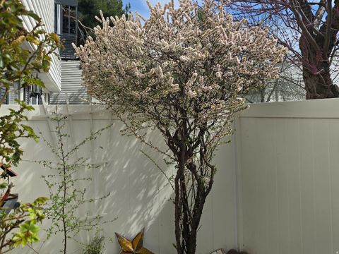 Tiny photo for 600 E 3990 S, Murray, UT 84107 (MLS # 2144973)