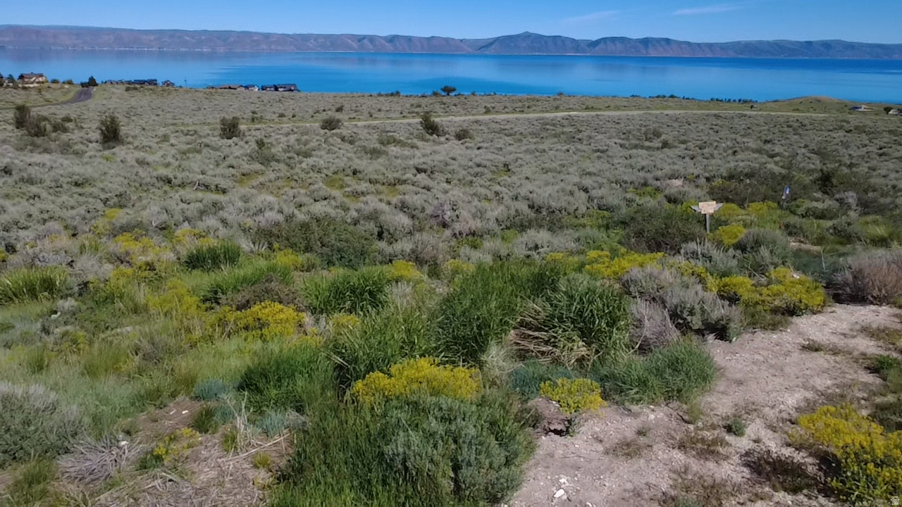 Expansive undeveloped land featuring diverse natural foliage and distant water frontage