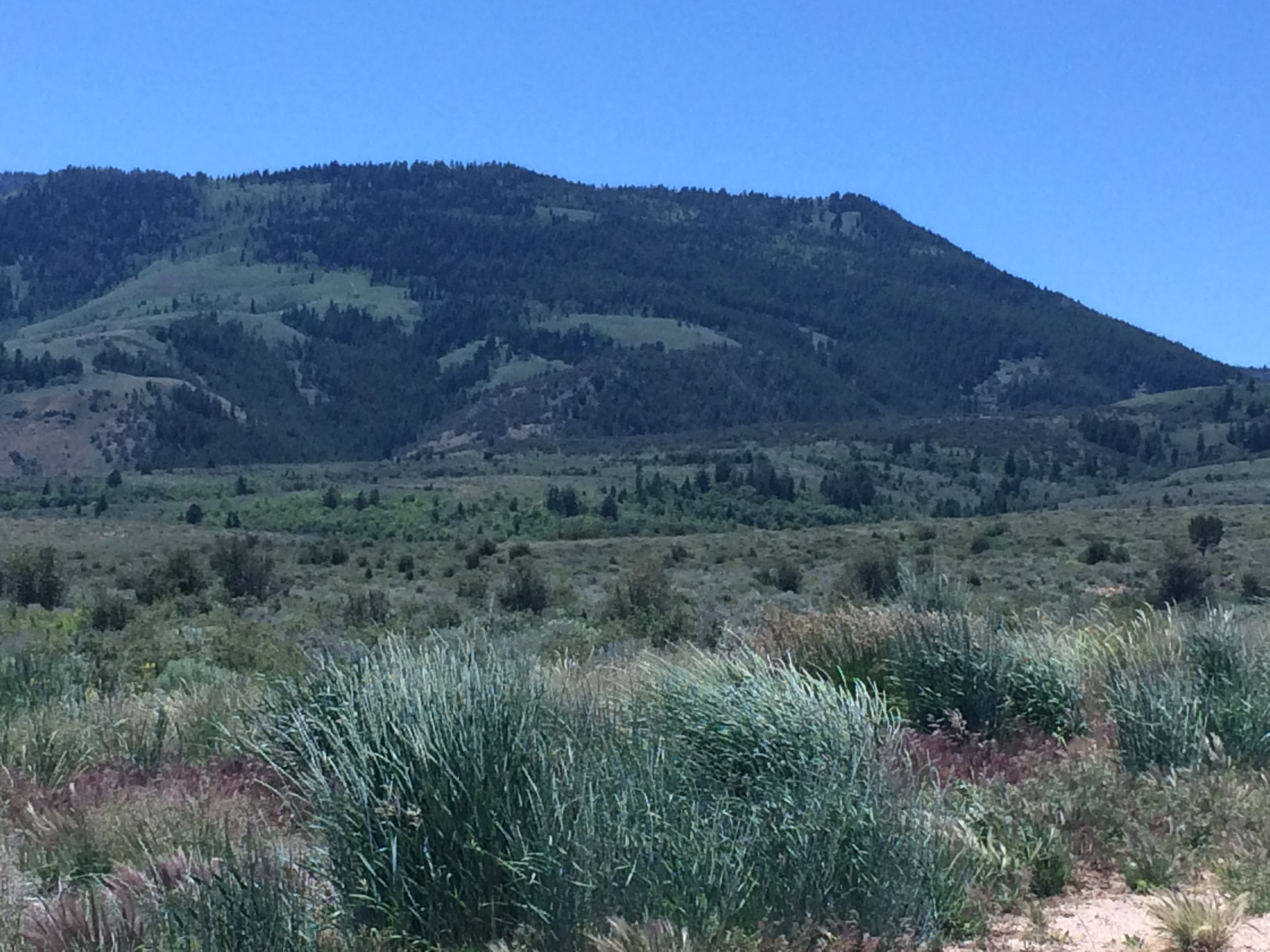 THE RESERVE AT BEAR LAKE - Land