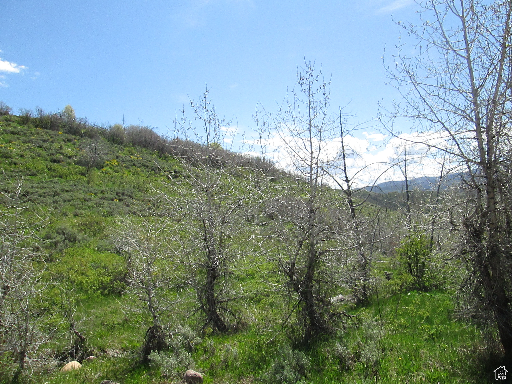 3258 N Water Cyn #679, Huntsville, Utah image 3