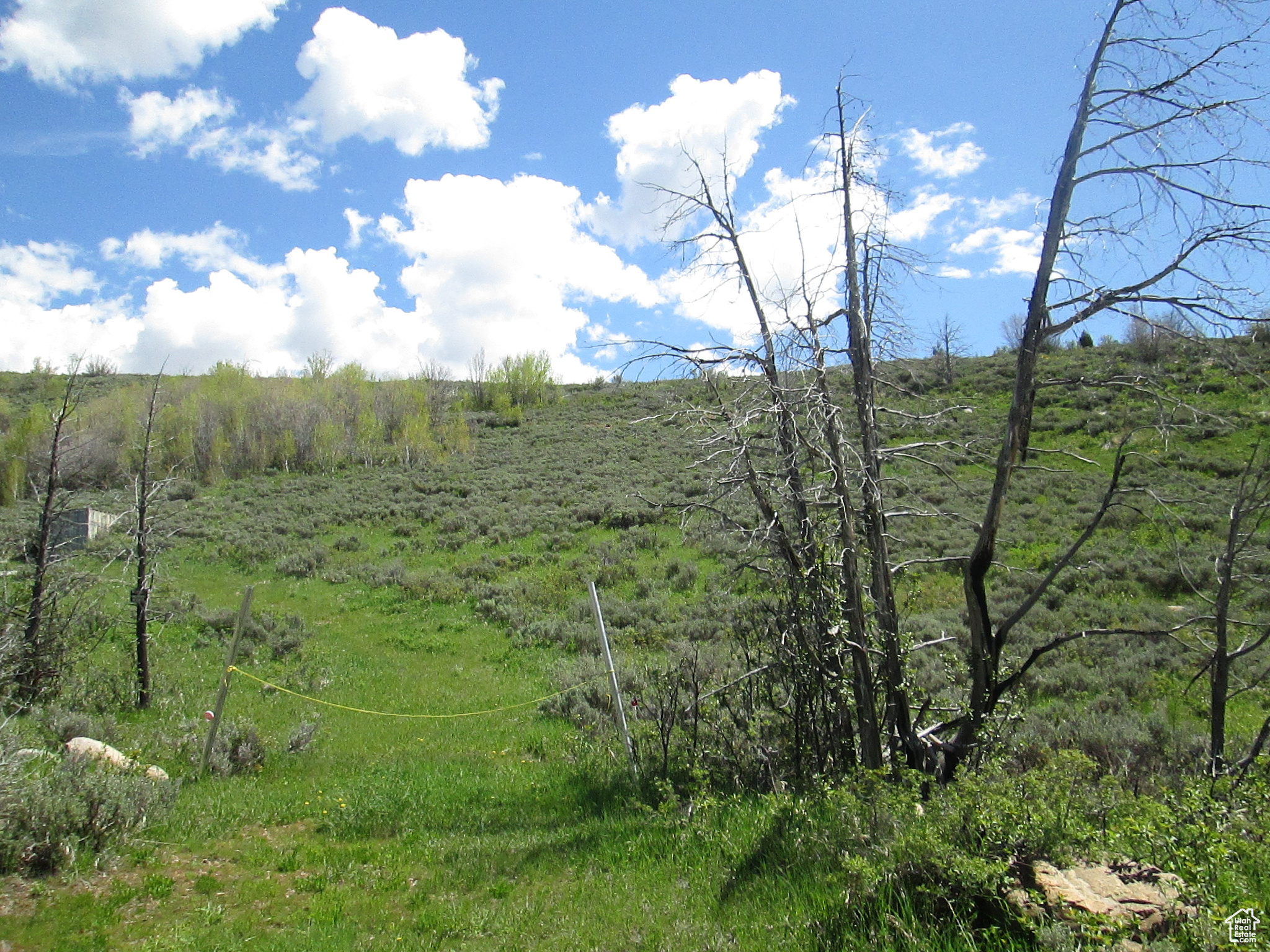 3258 N Water Cyn #679, Huntsville, Utah image 7