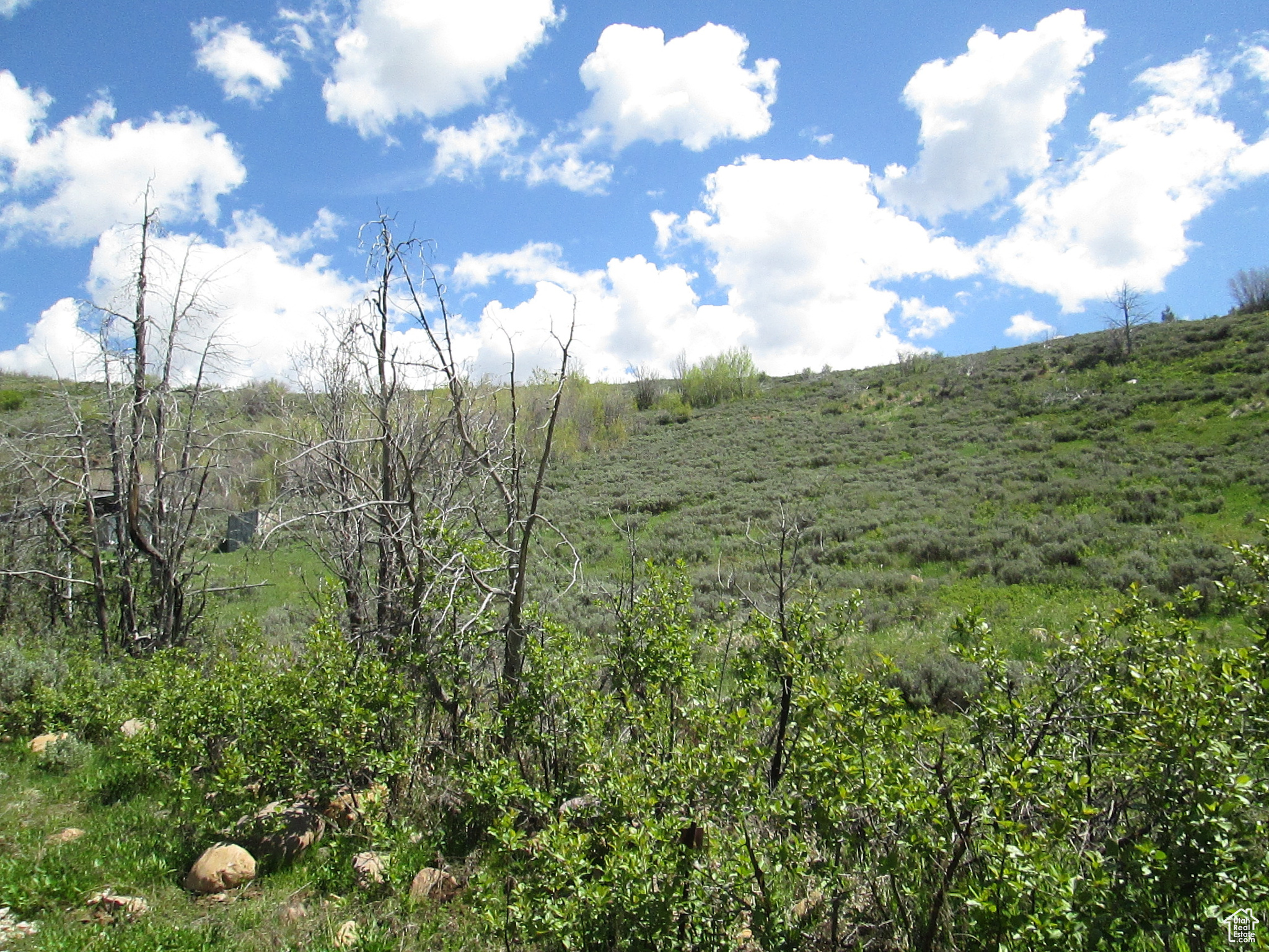 3258 N Water Cyn #679, Huntsville, Utah image 6