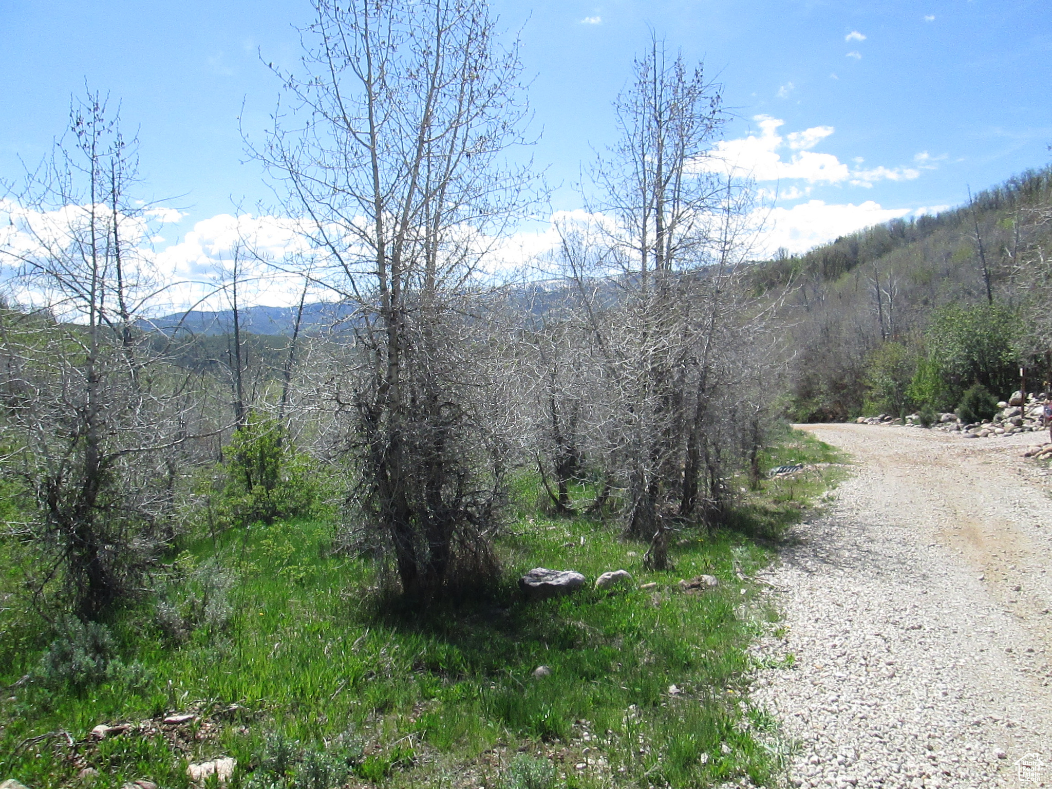 3258 N Water Cyn #679, Huntsville, Utah image 1