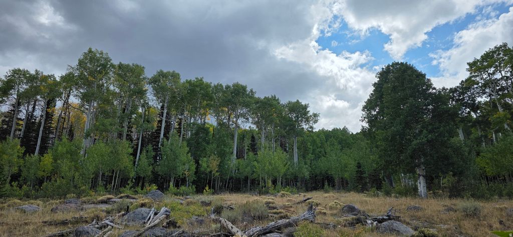 Photo of #27, Annabella, UT 84711 (MLS # 2155554)
