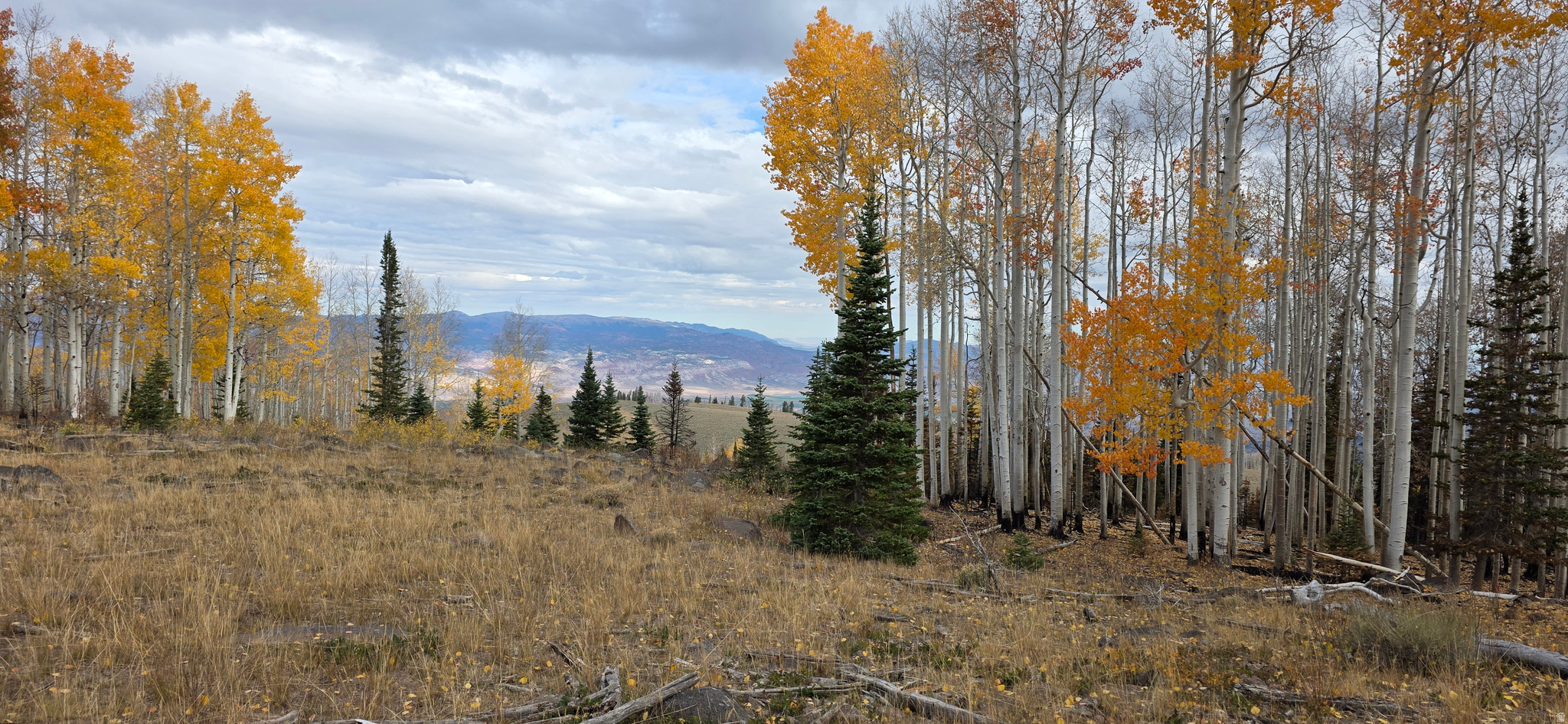 HENRIES HOLLOW PHASE 2 - Land