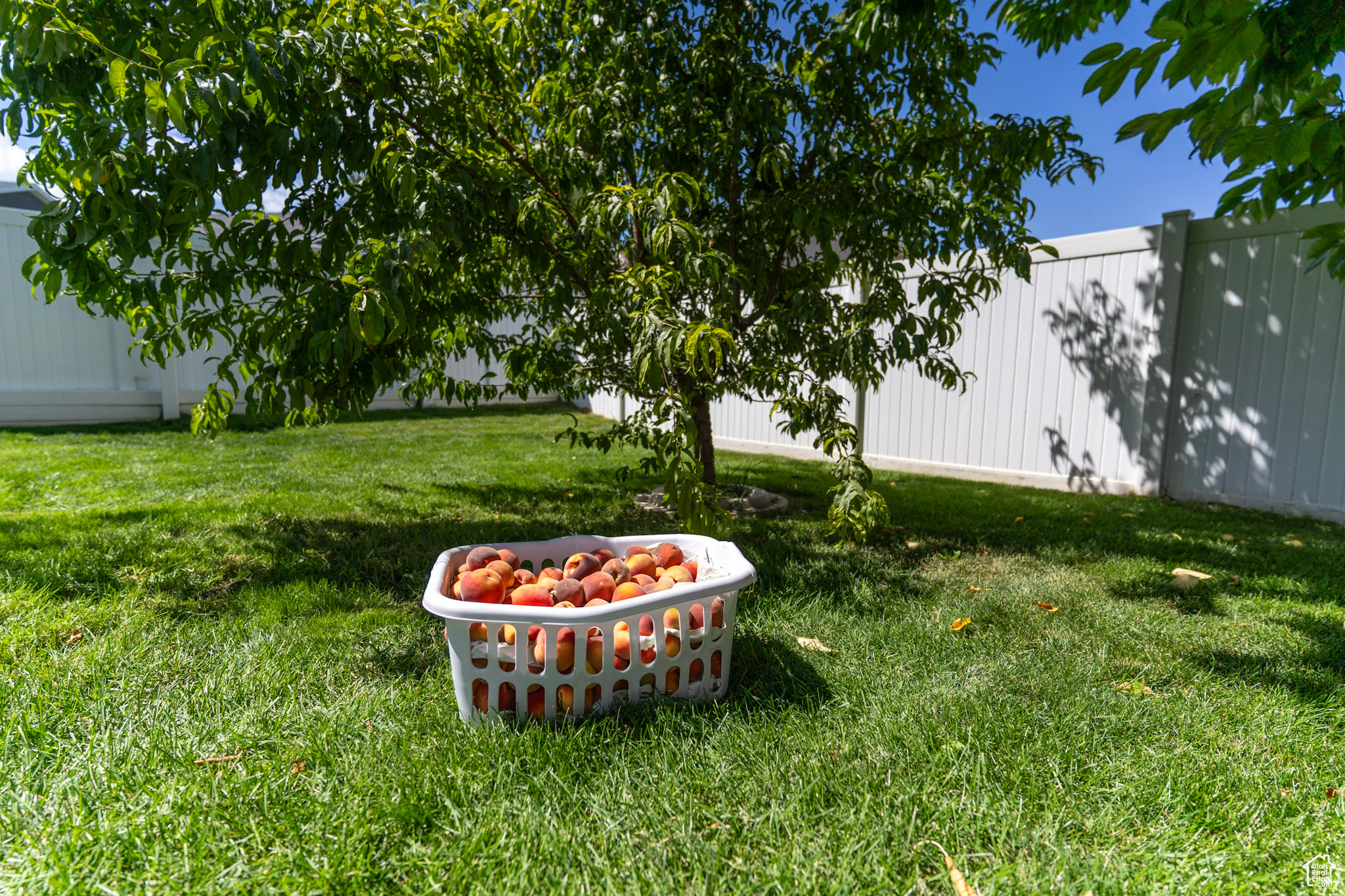 PLAT G MOUNTAIN MEADOWS PUD SUBDIVISION - Residential
