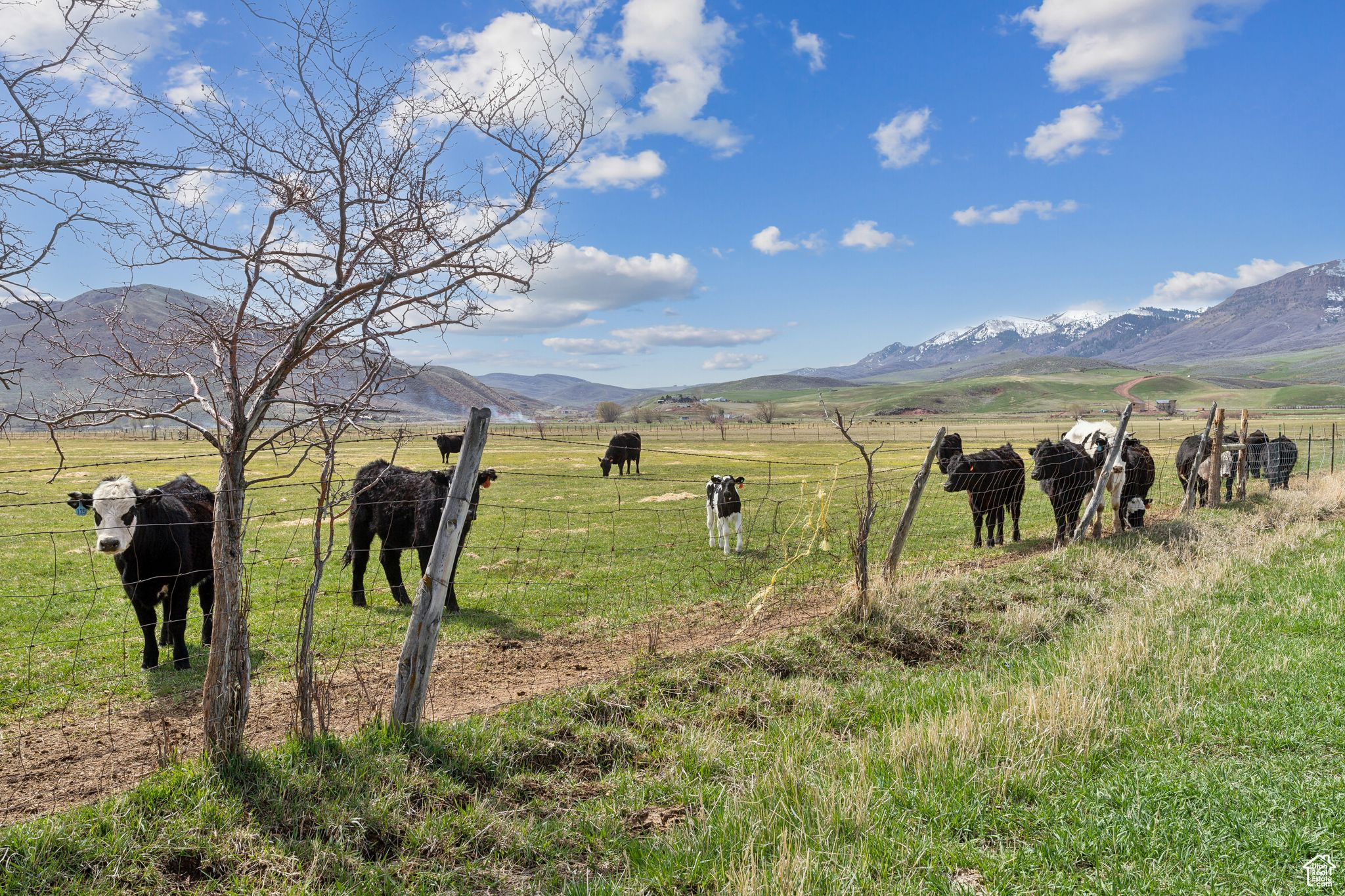 1450 N Henefer Rd, Henefer, Utah image 31
