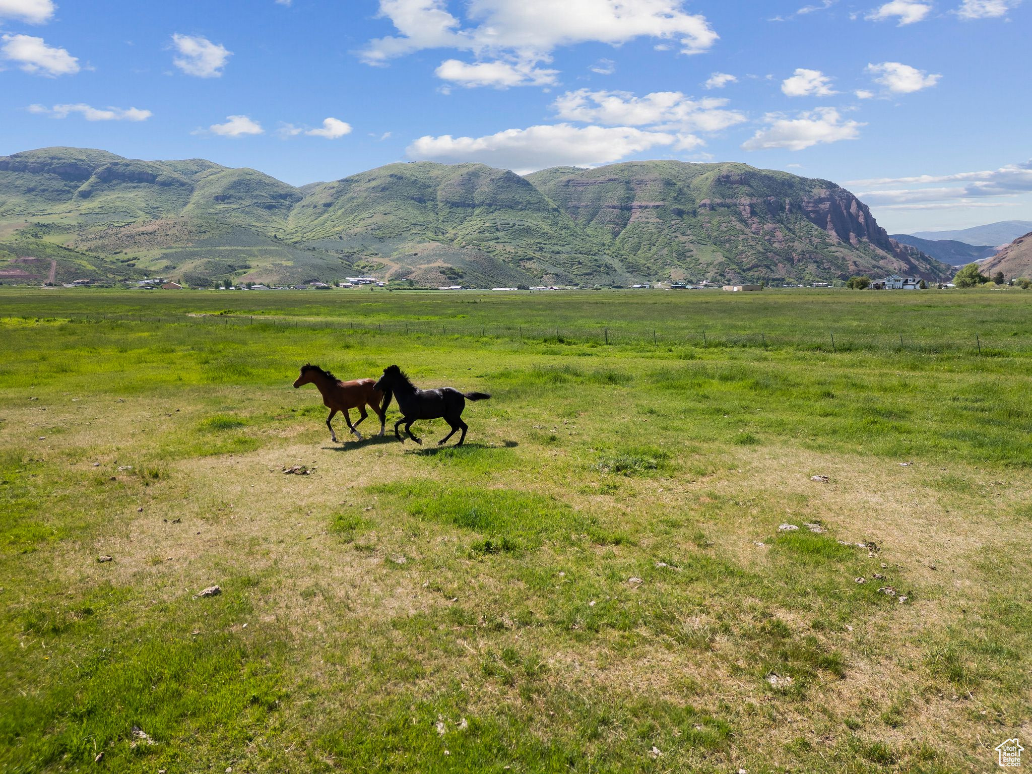1450 N Henefer Rd, Henefer, Utah image 23