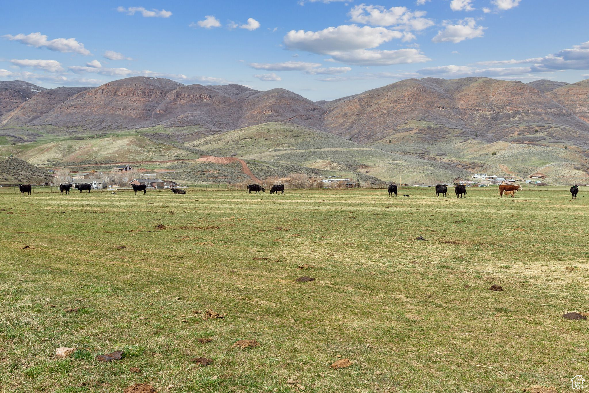 1450 N Henefer Rd, Henefer, Utah image 29