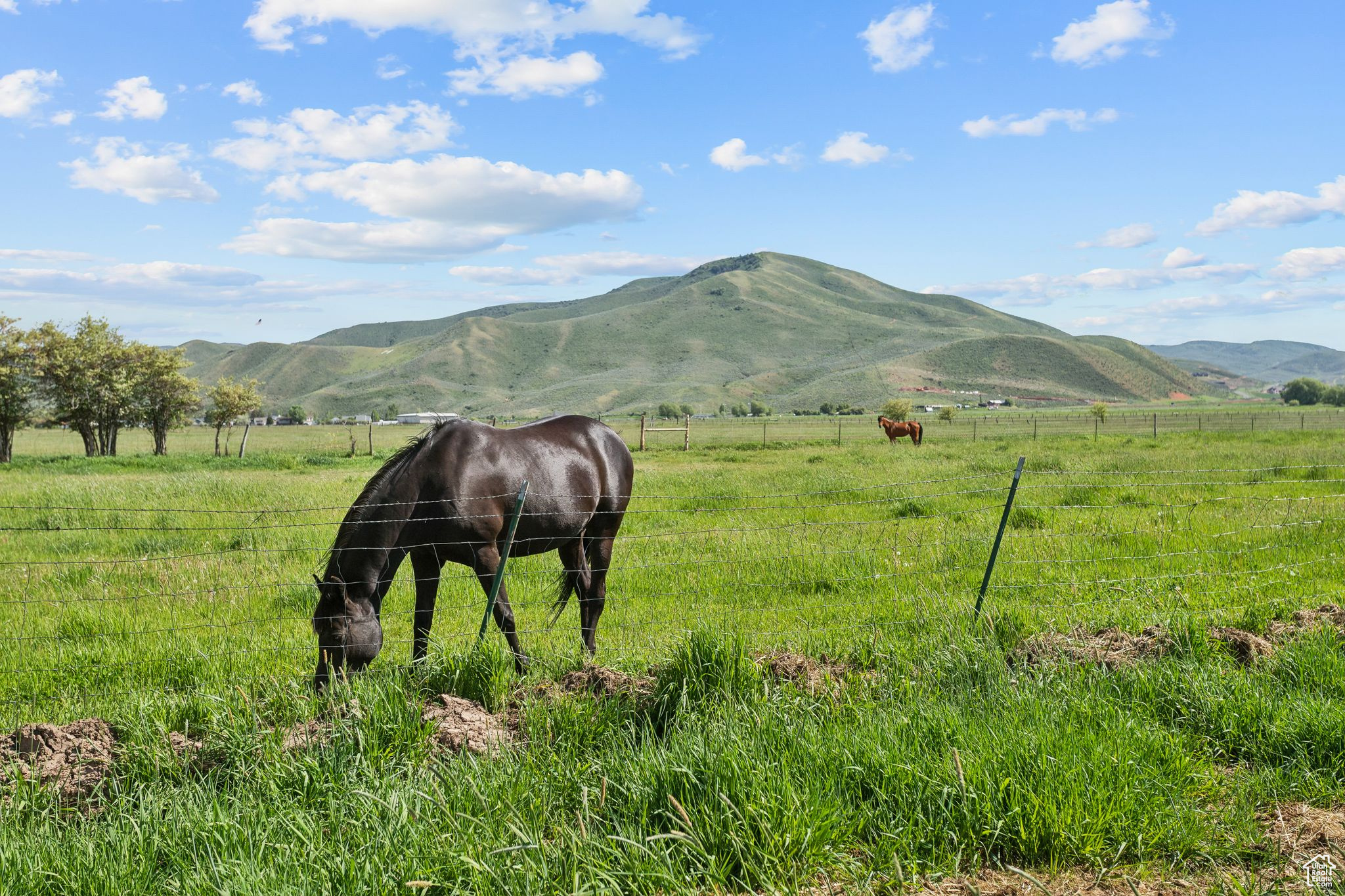 1450 N Henefer Rd, Henefer, Utah image 24