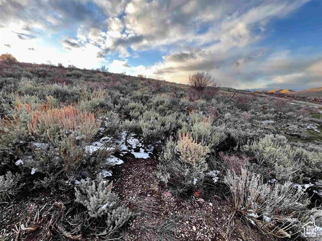 1 Jacobs Canyon Rd, Saint Charles, Idaho image 16