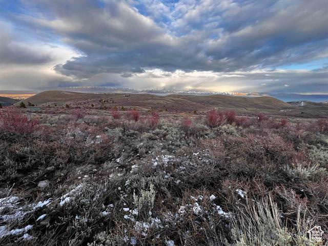 1 Jacobs Canyon Rd, Saint Charles, Idaho image 20