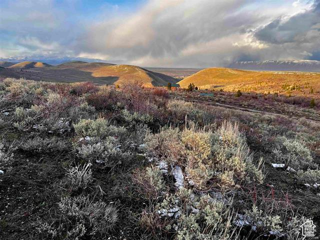 1 Jacobs Canyon Rd, Saint Charles, Idaho image 29
