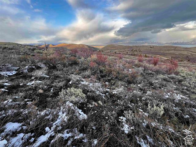 1 Jacobs Canyon Rd, Saint Charles, Idaho image 21