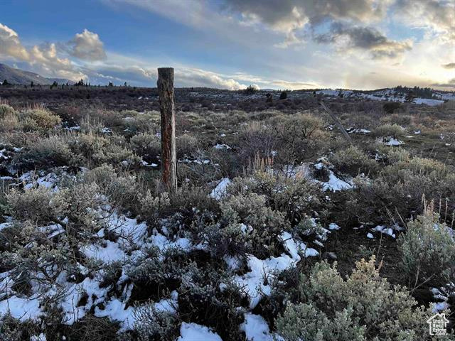 1 Jacobs Canyon Rd, Saint Charles, Idaho image 28