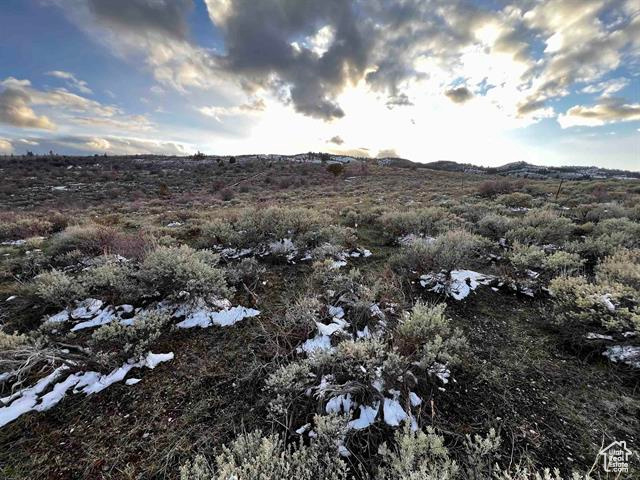 1 Jacobs Canyon Rd, Saint Charles, Idaho image 23